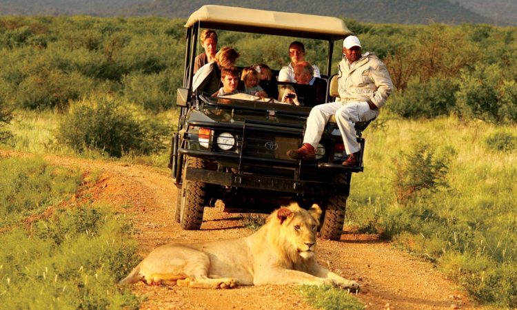 8 BEST ECO TOURIST PLACES TO ENJOY ON A SAFARI IN UGANDA